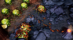 アンツ × インフィニティ