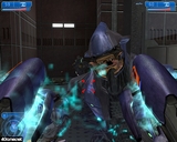 Microsoft Halo 2 for Windows Vista ܸ