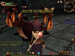 RAGNAROK Online 2פ勞勞ץƥѸڹ2CBTǡ3DեåǺƸ줿ROιƤߤ