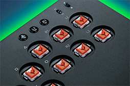 RazerΥС쥹ȥKitsuneפͽ󤬻Ϥޤ롣ؼåѤ19.2mm¸