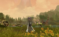 GC 200840MMORPGAionThe Tower of EternityפƮԥ󤬸ľץ쥤ࡼӡUp