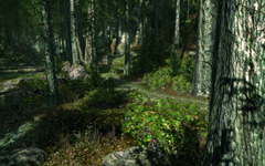 #003Υͥ/GDC 200934CryENGINE 3ϡץåȥեǤγȯ˴б