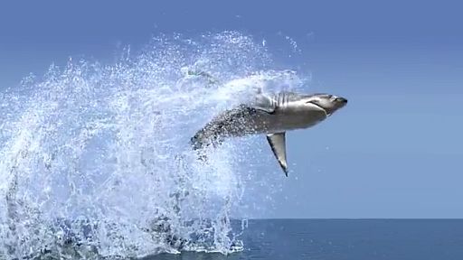 (FluX) Demo: Shark