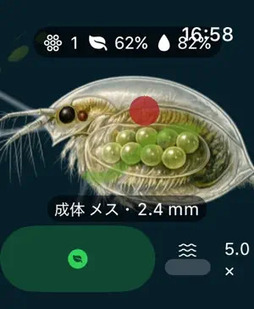 ミジンコ：生態観察ゲーム