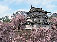 画像ギャラリー No.006のサムネイル画像 / 4Gamerの1週間を振り返る「Weekly 4Gamer」，2026年4月6日〜4月12日