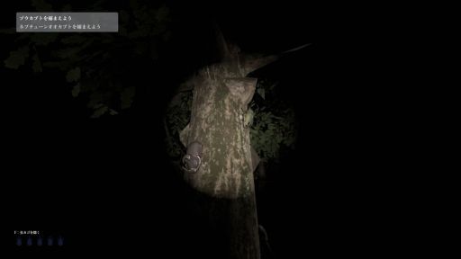画像ギャラリー No.007のサムネイル画像 / 昼間とは様子が一変した夜の森で全19種類のカブトムシを探す。短編ホラーゲーム「カブトムシの森」，Steamで配信開始