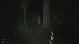 Sector 13: Haunted Woods