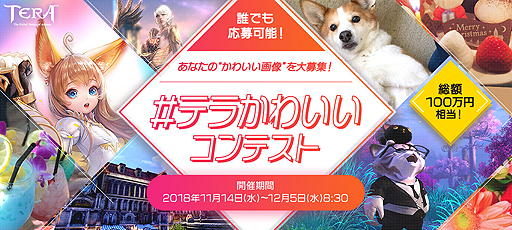 ���������꡼ No.001�Υ���ͥ������ / �����ǰ��֡�TERA�פ��襤���̿�����Ƥ��褦���ץ쥼�������100���������Ρ�#�ƥ餫�襤������ƥ󥹥ȡפ�������