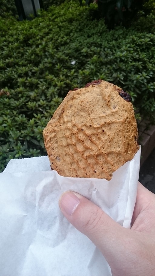 ���������꡼ No.003�Υ���ͥ������ / �����ǰ��֡�TERA�פ��襤���̿�����Ƥ��褦���ץ쥼�������100���������Ρ�#�ƥ餫�襤������ƥ󥹥ȡפ�������