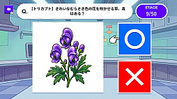 どっち!? 毒ドクターの危ない◯×クイズー毒あるorない!?2択で楽しく雑学教養テストー