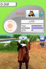 奢륷꡼2980 Petz Horsez ۡ