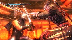 NINJA GAIDEN 2ϤΥ󥷡󤬵ͤޤäࡼӡȥ쥤顼θǤۿ917˷ꡪ