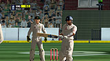 Ashes Cricket 2009