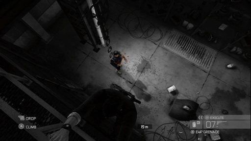 Hunting from above