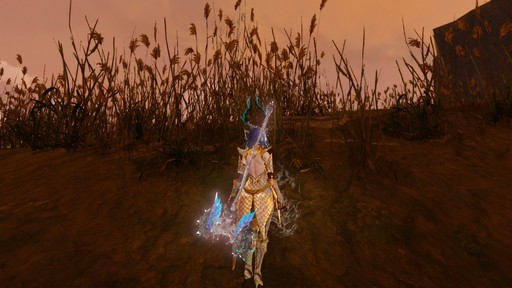  No.042Υͥ / ArcheAge׿쥤ɥܥ֥꡼ץץ쥤ݡȡؤ줿ˡĻȤ絬Ϥ褬Ϥޤ롪