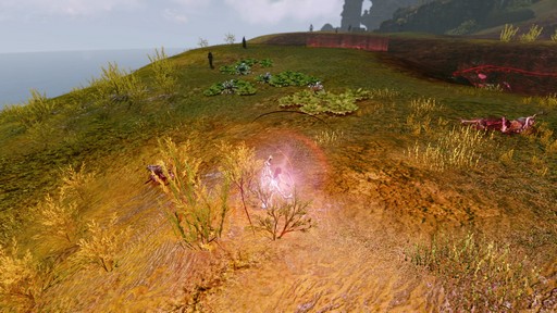 ArcheAge緿åץǡȡArcheAge 5.0פץ쥤Ŭפȴ¸ŬȤ߹碌ˤ뿷饹μϤϡ