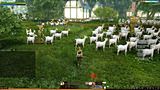 ArcheAge