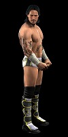 ȡ꡼饤κˤбWWE 2010 SmackDown vs. Rawס2010ǯ128ȯ