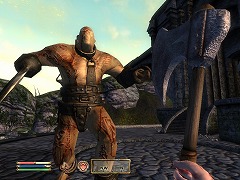 ܸ첽줿Shivering IslesפäƤ롪 The Elder Scrolls IV: ֥ӥ Game of the Year Editionפȯ422˷