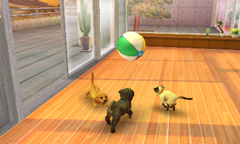 #002Υͥ/ȥסɥ뤫Ƹǽ˻ҸϤɤˤ롩nintendogs  catsפθȤ3Υѥåܺ٤餫