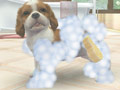 ȥסɥ뤫Ƹǽ˻ҸϤɤˤ롩nintendogs  catsפθȤ3Υѥåܺ٤餫