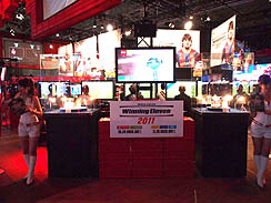 TGS 2010ϡ֥ɥå ˥󥰥֥ 2011פϡץ쥤䡼κʬܤˡ