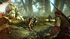 CD ProjektThe Witcher 2: Assassins of Kingsפ2011ǯ517ȯ䡣130ɥΥ쥯ǥ¸ߤ餫