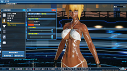 PSO2סDirectX 11бեå󥸥ǥ̤ϤɤѤäΤPSO2NGS׻ͤˤʤä饯Ҳ