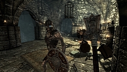 GamescomϡThe Elder Scrolls V: SkyrimפΥץ쥹ե󥹤šͳ٤ι⤤饯ᥤ󥰤ȡ椬о