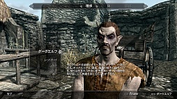 #013Υͥ/The Elder Scrolls V: SkyrimפΥӥ塼ǺܡꤳܤΥϥե󥿥ʤ顤鿴Ԥؤͥ˺ʤѤʤ̿RPG