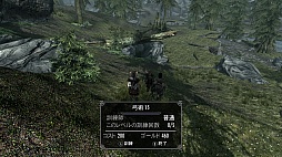 #025Υͥ/The Elder Scrolls V: SkyrimפΥӥ塼ǺܡꤳܤΥϥե󥿥ʤ顤鿴Ԥؤͥ˺ʤѤʤ̿RPG