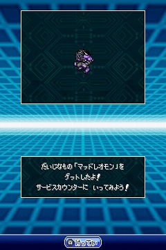 ꡼ No.005Υͥ / ֥ǥ󥹥ȡ꡼ Ķץɥѥǥǥۿ