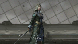 #007Υͥ/FINAL FANTASY XIII-2סDLCХȥ3ƤǥʥСͤס򾤴碌ͷϤƮǥã˽