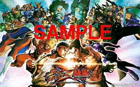 PS VitaSTREET FIGHTER X ŴפŹŵˡŵϥꥸʥ른㥱åȤǥȥåɻʤɤѰ