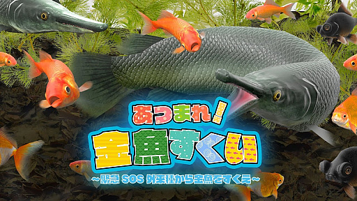 Ĥޤ졪 ۵SOS狼򤹤 - Nintendo Switch