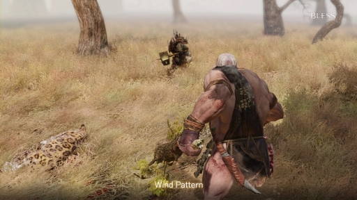 BLESSWind Pattern