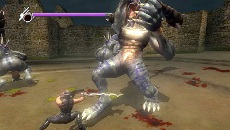 #011Υͥ/NINJA GAIDEN  PLUSסȯ䡣鿴ԤԤޤǳڤ뿷ǡǦӤƻפξܺ٤