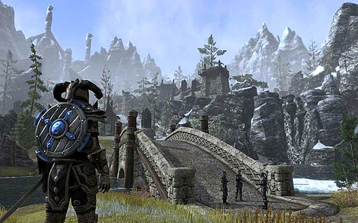 The Elder Scrolls Online׽θࡼӡޤ1ĤΥСǻüץ쥤Ƥ褦ʵʬˤʤ뿷Ѥ餫