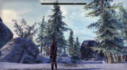 Skyrimפ椬֥륺饤פо졣ϤȤʤ֥쥤ࡼץåץǡȤԥץ쥤