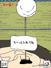 ꡼ No.001Υͥ / μס߷200ɤãǰƥबо