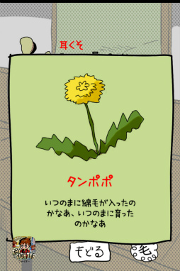 ꡼ No.002Υͥ / ˤʤΤġġ ޥ۸奢륲μפҲ𤹤֡ʤۤܡޥۥ̿1510