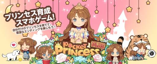 ꡼ No.001Υͥ / ֥ݥåȥץ󥻥 Plusץǥ󥰡֥ե饤פʤɷ3ɲ