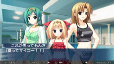 ���������꡼ No.032�Υ���ͥ������ / PSP�ѥ��եȡ�Stellar��Theater Portable�פ�2013ǯ2��28����ȯ�䡣PSP�Ǥ��ȼ����ǤȤ��ƥ��֥ҥ������ά��ǽ�ʥ롼�Ȥʤɤ��о�