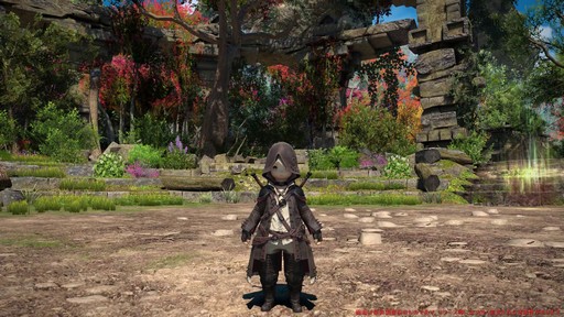 Υץ쥤ݡϡFFXIV: Υ쥬׺ǿ2֤ץ쥤ѡȥԥȥޥ󥵡μ꿨ϡ