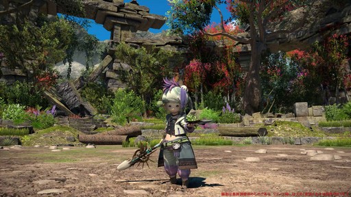 Υץ쥤ݡϡFFXIV: Υ쥬׺ǿ2֤ץ쥤ѡȥԥȥޥ󥵡μ꿨ϡ