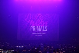  No.013Υͥ / Υҥǲͥ꡼ʤɤ줿THE PRIMALS Live in Japan - Darkest Before Dawnץݡ