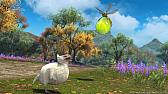 ꡼ No.005Υͥ / FFXIVסߡ֥ϥ磻륺ץСƥġTGS 2025ơ٥ȤˤƿҲͽ