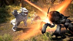 画像ギャラリー No.135のサムネイル画像 / 魔獣使いは属性によるコンボと連携が重要に。「FFXIV」のパッチ7.5“彼方に至る路”の詳細が実機を交えて紹介された第92回PLLをレポート