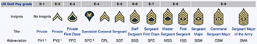 ƹΦȯFPS꡼ǿAmerica's Army: Proving Groundsפ꡼