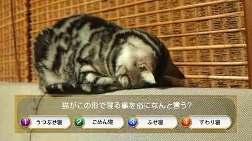 RPG ˡȤȹǭΥ CM 